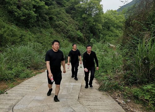 市公安局监管支队服务中心组织开展体能拓展训练活动