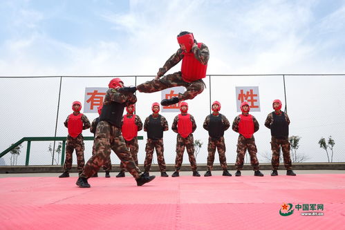 热血铸就忠诚 武警某支队训练高清大图纪实